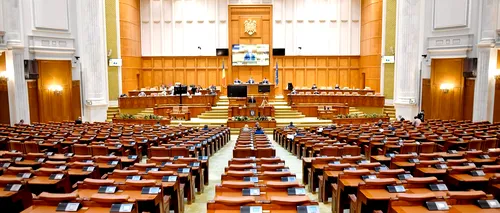 Propunere legislativă adoptată de Senat: Activitatea economică desfăşurată de PFA, recunoscută ca vechime în muncă