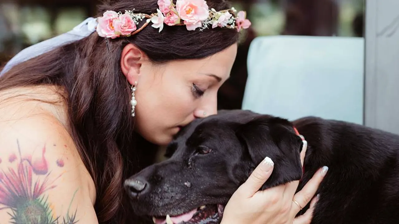 A trăit ca să-și conducă stăpâna la altar. Imaginile emoționante surprinse la o nuntă din New York 