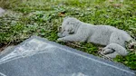 Iașul va avea un cimitir pentru animalele de companie. Consiliul Local a aprobat alocarea unui teren de 2.000 de metri pătrați
