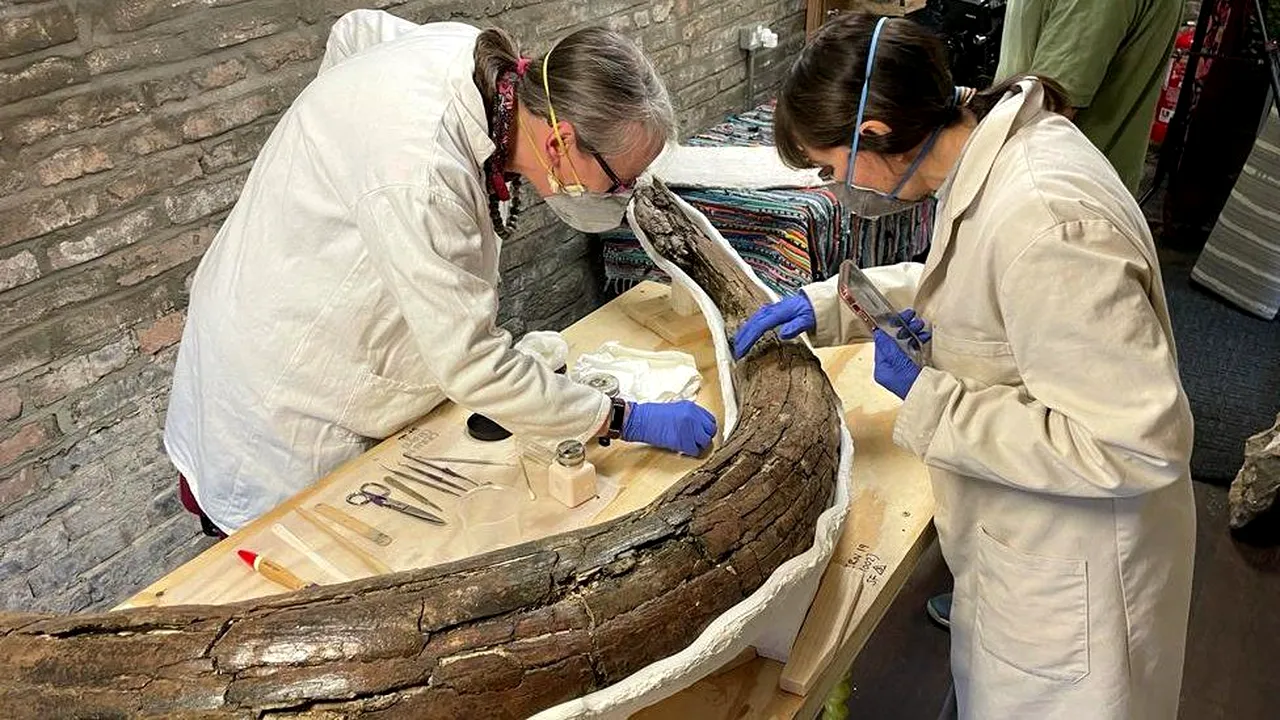 Cinci mamuți care au trăit acum 220.000 de ani, „excepțional” de bine conservați, descoperiți într-o regiune din Anglia