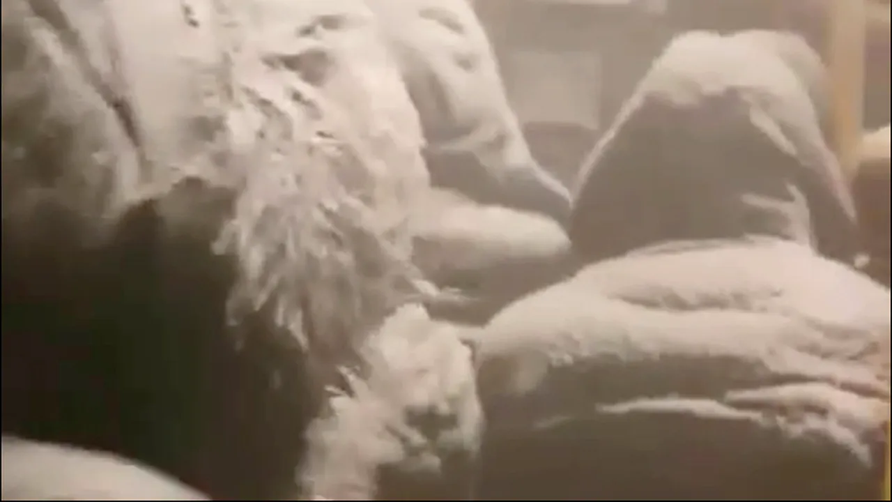 Zeci de pasageri, blocați într-un autobuz în Siberia, transformați de viscol în „oameni de zăpadă