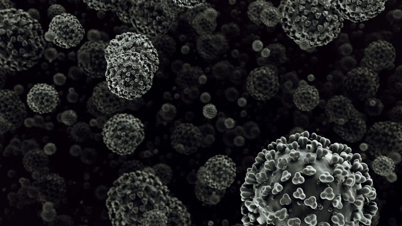 Hantavirus: misterioasa boală din timpul Războiului din Coreea care a ucis 250 de soldați