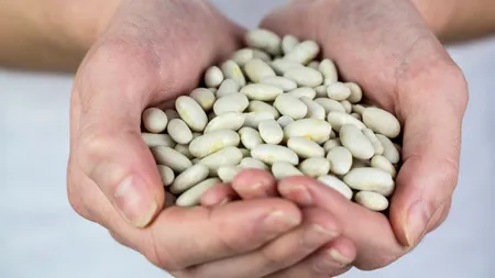 Fermierii români ajung să abandoneze fasolea pe marginea drumului, din cauza profitului mic. „Să produc cu 5 lei și să vând cu 3? Mai bine o ARUNC!”