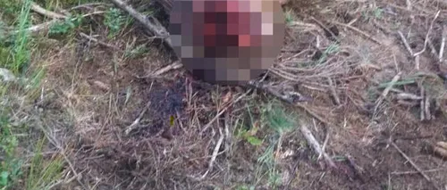 O femeie din CANADA susține că a surprins în imagini două femei dezbrăcate care ar fi mâncat din cadavrul unui cerb