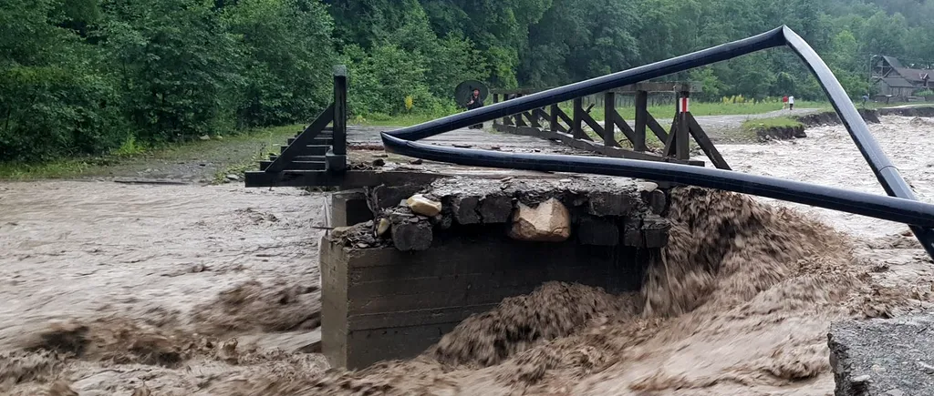 Descoperire macabră în cazul unei femei, dispărută acum 12 ore de pe malul unui pârâu din Vrancea