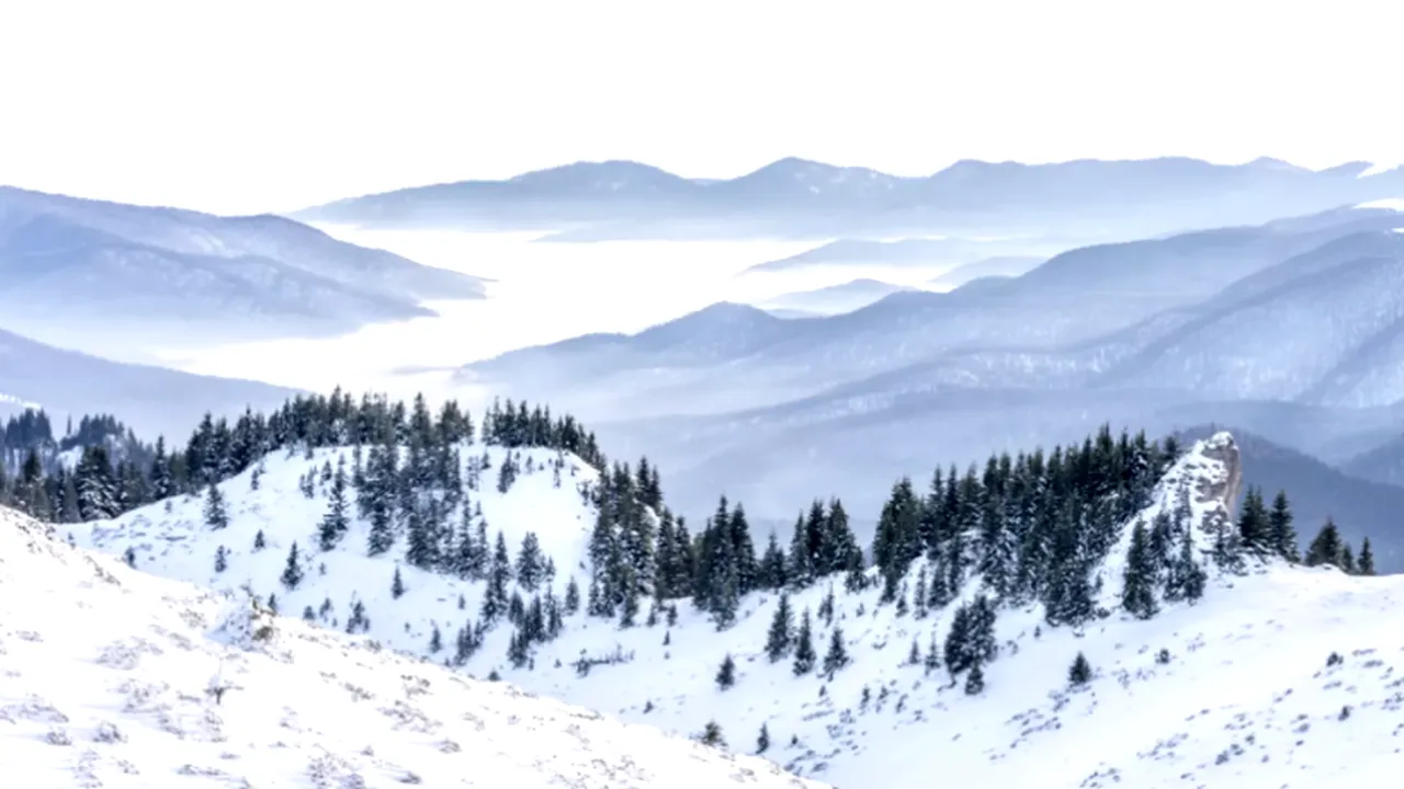 Iernile tot mai blânde și EFECTELE pe termen lung