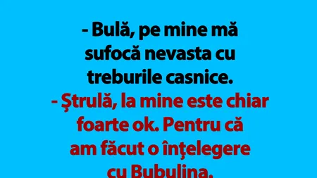 BANC | Bulă și treburile casnice