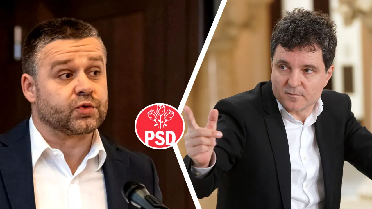 Ciucu îl îndeamnă pe Nicușor să devină ”jucător”. PSD ar trebui îmbrâncit la guvernare