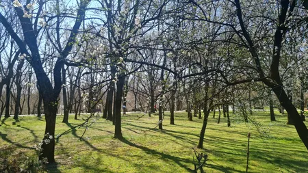 Meteorologii Meteoradar au modificat prognoza pentru Paște. Cum va fi vremea în noaptea de Înviere