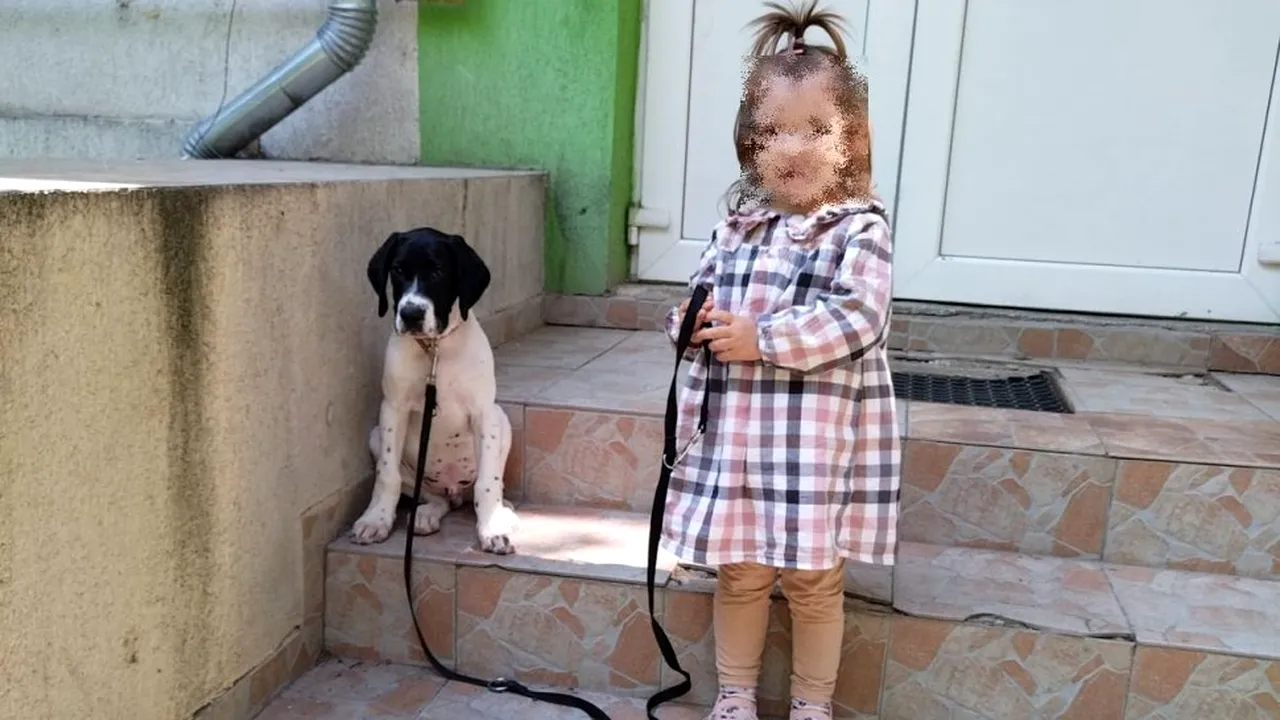 Raisa, o fetiță de nici 3 ani, A MURIT la scurt timp după ce a ajuns la Spitalul de Copii din Timișoara. Părinții îi acuză pe medici de malpraxis