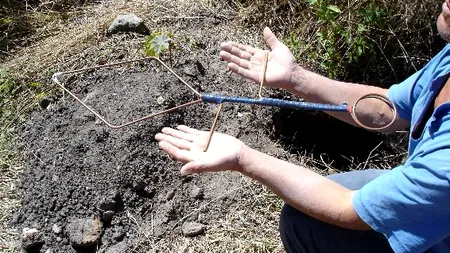 Vrei să câștigi 10.000 de euro? Primul pas este să ajungi la Universitatea Würzburg din Germania, dar nu în calitate de student