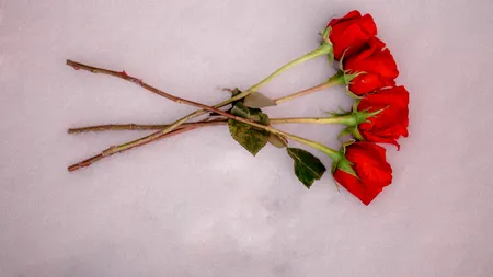 Îngropăm Guvernul expirat. Cine-l moștenește?