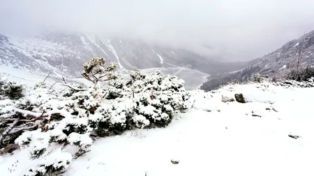 Unde se află cel mai gros strat de ZĂPADĂ în România