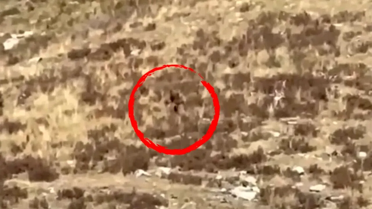 Un turist a crezut că l-a filmat pe legendarul Bigfoot, însă adevărul l-a lăsat fără cuvinte. Cine apare, de fapt, în aceste IMAGINI