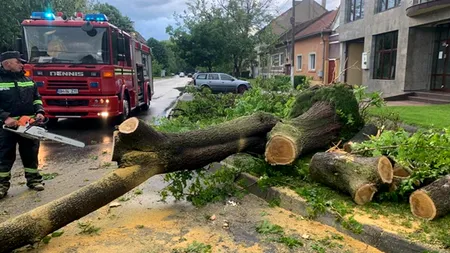 Rupere de nori în Bihor. Acoperișuri distruse, copaci doborâți, mii de oameni panicați