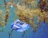 Sfârșitul poluării oceanelor cu PLASTIC? Cercetătorii japonezi au inventat un plastic care se DIZOLVĂ în apa de mare