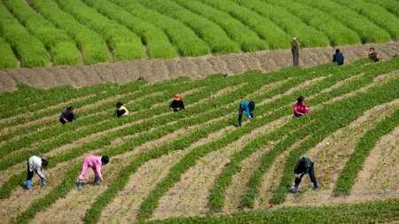 Imaginile INTERZISE din Coreea de Nord care l-au înfuriat pe dictatorul Kim Jong Un. Ce s-a întâmplat cu fotograful care le-a realizat. GALERIE FOTO