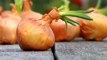 Țara în care ceapa a ajuns să fie mai scumpă decât carnea de vită