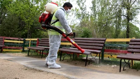 DSP Sibiu: 16 cazuri de boală Lyme, confirmate de la începutul anului la persoane înțepate de căpușe