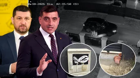 Marius Lulea, declarații în exclusivitate pentru Gândul după ce a găsit un cap de porc la poartă. Susține că ar fi o amenințare cu moartea și dă vina pe George Simion: “A stat în Sicilia vreo trei luni, i-o fi venit vreo idee”
