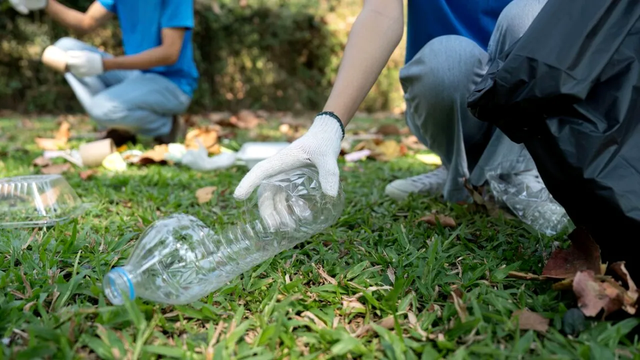 SALUBRIZARE Sector 5: Natura are nevoie de noi. Acum e momentul perfect să dăm o mână de ajutor comunității (P)
