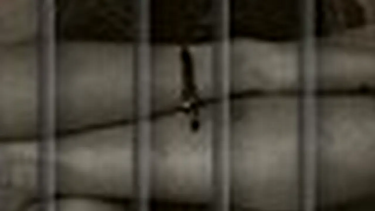 Un chinez bolnav mintal este ținut închis într-o cușcă de 11 ani