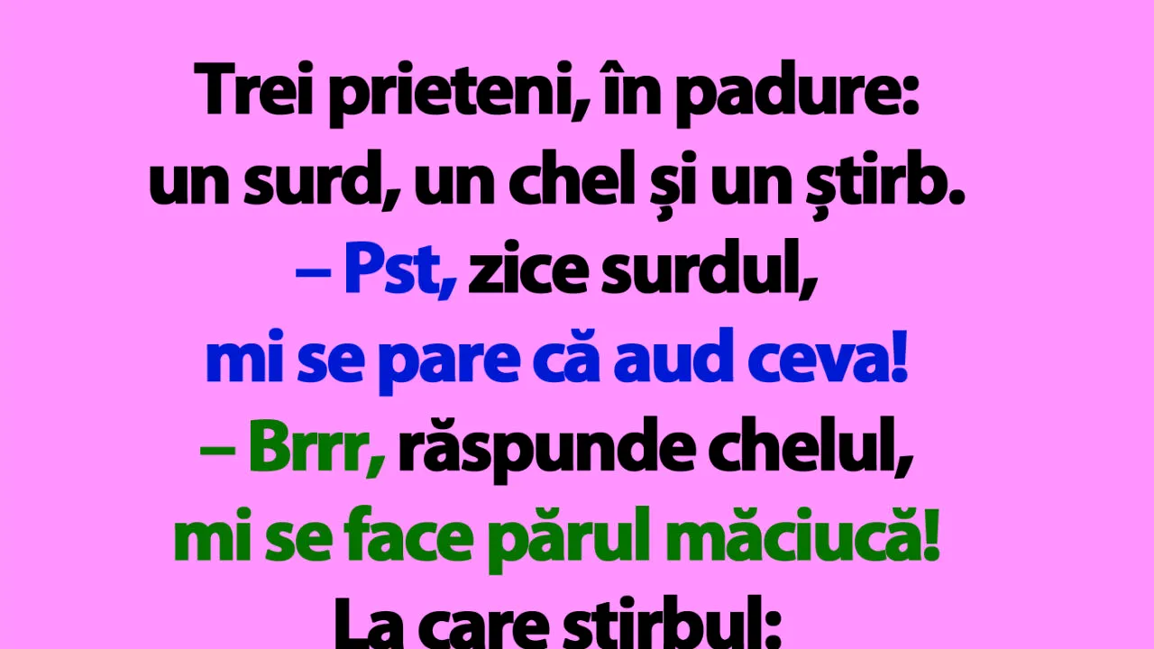 Bancul de duminică | Trei prieteni, în padure: un surd, un chel și un știrb