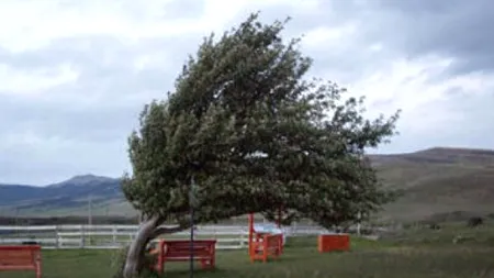 Pene de curent și trafic aerian perturbat în Bulgaria, din cauza rafalelor puternice de vânt