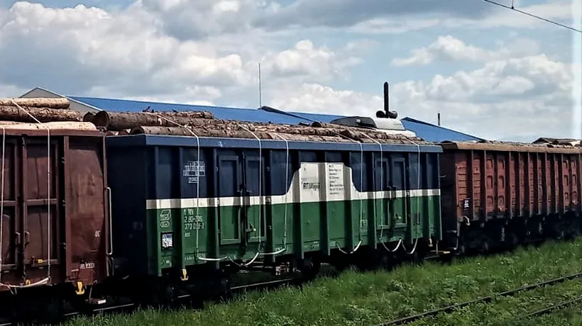 Un tren cu lemne care nu avea documente a fost descoperit de Garda de Mediu Brașov! FOTO