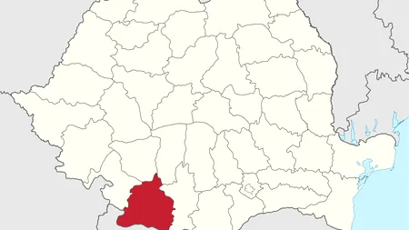 Rezultate alegeri parlamentare 2024 în județul Dolj. Lista candidaţilor la Senat şi Camera Deputaţilor