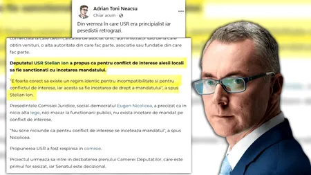 Fostul ministru al Justiţiei, Stelian Ion, a cerut încetarea mandatului aleşilor pentru conflict de interese. Acum, USR spune că e dosar politic