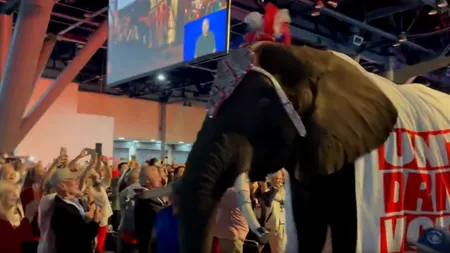 Imagini incredibile de la convenția partidului lui Trump, din Texas. Un elefant viu, îmbrăcat în mesaje republicane, a fost adus pe scenă. Ce a urmat i-a lăsat pe toți mască