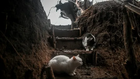 Regimul Putin o ignoră. Boala „medievală” care se răspândește în tranșeele soldaților ruși din Ucraina