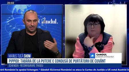 VIDEO | Alina Mungiu-Pippidi, politolog: UE nu ne garanta votul Austriei / Nu a fost nimeni rațional, nimeni care să fi înțeles cum funcționează Europa