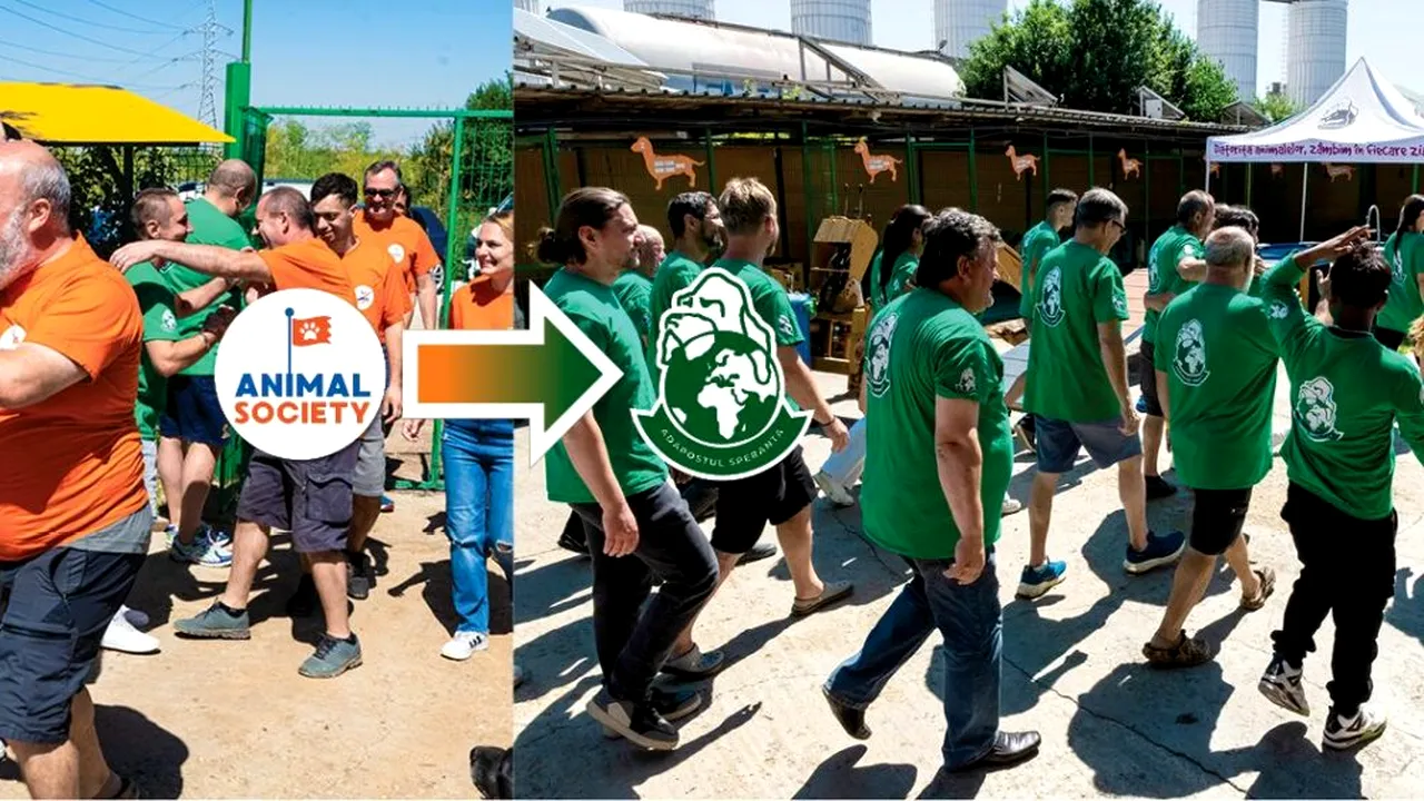 Două dintre principalele organizații pentru protecția ANIMALELOR din țară au fuzionat. „Credem în soluții umane pentru situația câinilor fără stăpân”