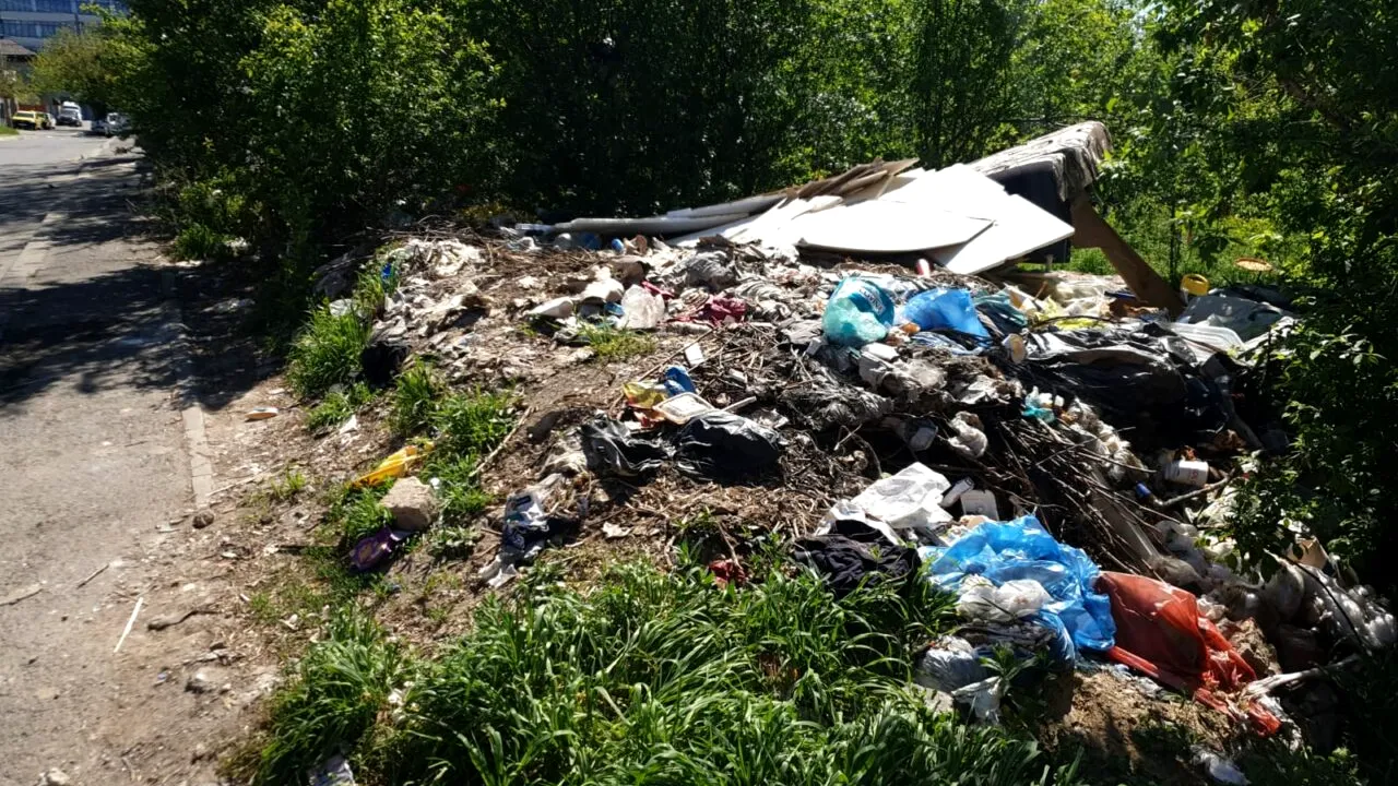 Primăria Sectorului 2, AMENDATĂ de Garda de Mediu București cu 50.000 de lei / Munți de gunoaie inclusiv în zona de lux a Capitalei, Pipera