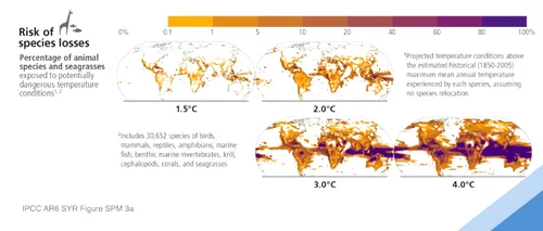 Raport IPCC | Zeci de mii de specii afectate și aflate pe cale de dispariție în următoarele decenii