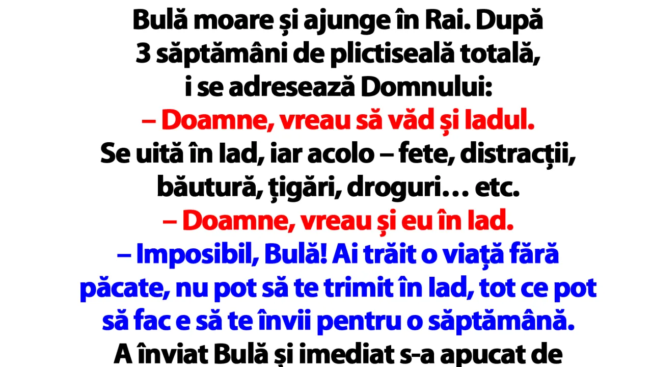 BANC | Bulă moare și ajunge în Rai. După 3 săptămâni de plictiseală totală, i se adresează Domnului
