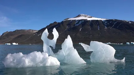 O cântăreață americană oferă bilete gratis la concerte fanilor care luptă împotriva schimbărilor climatice