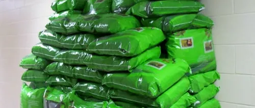 Aproape 50 de kilograme de frunze de khat, un nou tip de drog, confiscate de polițiști constănțeni