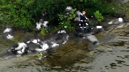 Scrisoarea lui Breivik către militanta neonazistă germană acuzată de implicare în moartea a 10 persoane. 