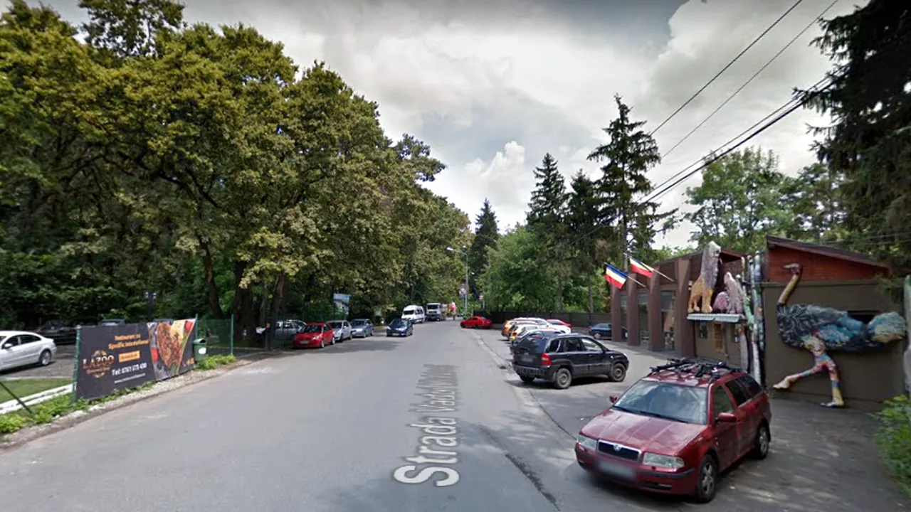 Drumul din Pădurea Băneasa care ajunge la un cartier rezidențial va fi închis parțial. Decizia Romsilva, de la 1 iunie