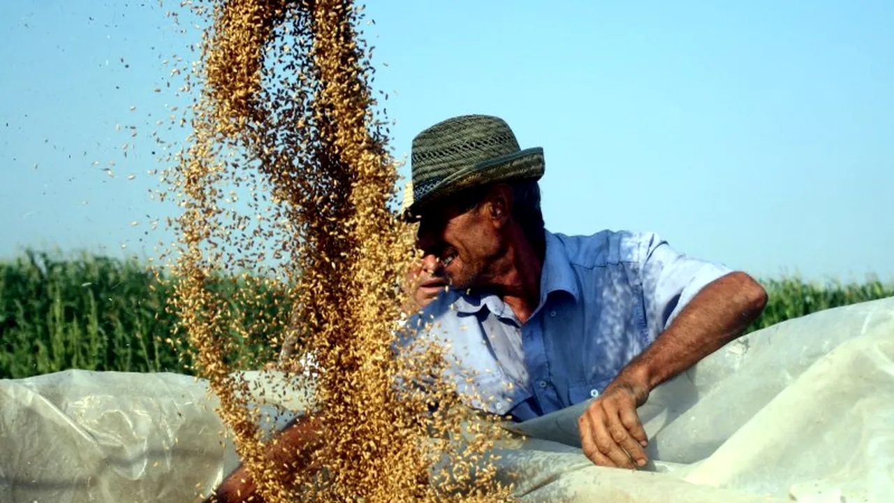 MEDIAFAX Talks about Agriculture. Plata pe suprafață a fost prelungită până în 2020. Câți bani vor primi fermierii la hectar