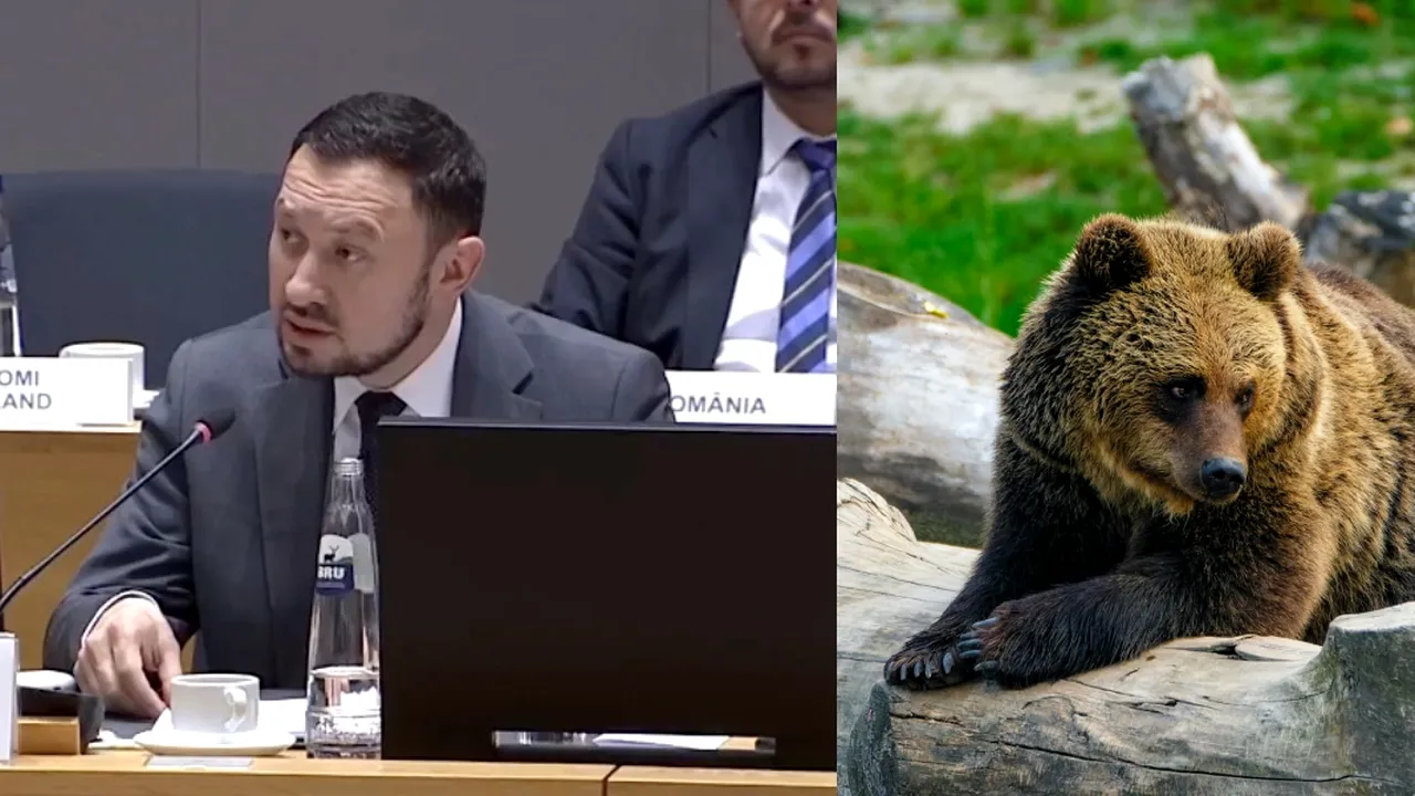 Liberalul Mircea Fechet a solicitat la Consiliul de Mediu de la Bruxelles 