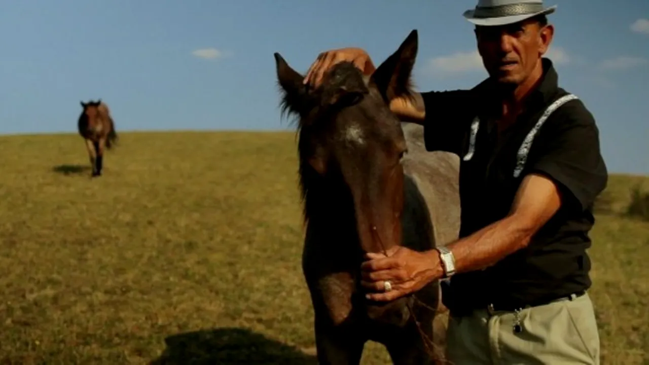 Ultima zi a Festivalului de Film PELICAM, de la Tulcea. Cum au 