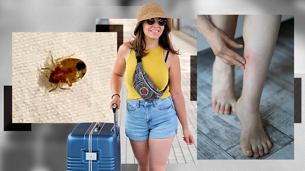 Atenție unde dormiți când mergeți în vacanță! Specialiștii avertizează că avem invazie de ploșnițe, aduse acasă din spații de cazare neigienizate