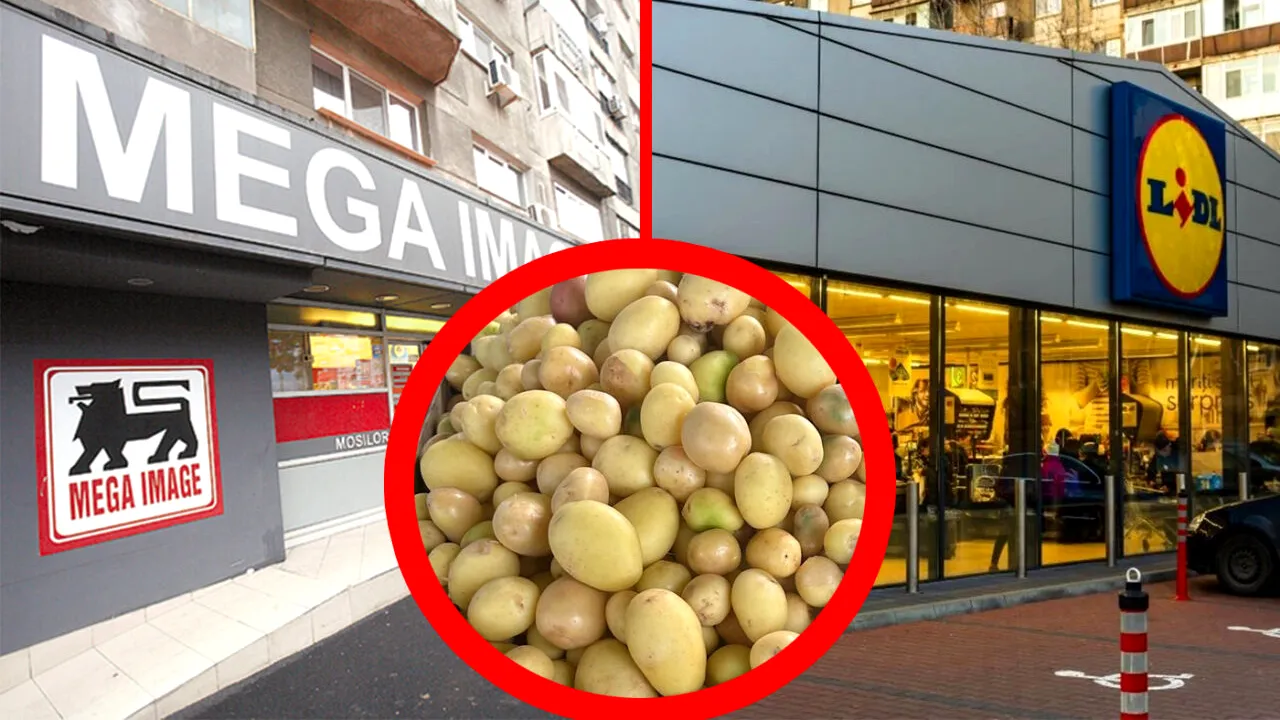 Cartofii noi, la mare căutare! Cu cât se vinde 1 kg în magazinele LIDL și Mega Image din România