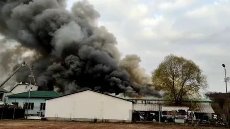 Incendiu puternic la o fabrică de mezeluri din Olt. Au venit în ajutor și pompierii din Argeș și Vâlcea