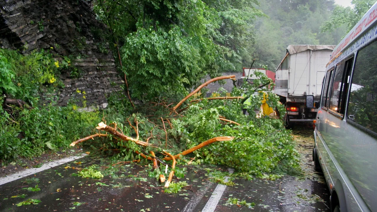 Avertizare cod portocaliu de vânt puternic în 16 județe din est și sud