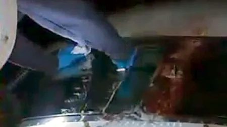 Un avion a aterizat de urgență după ce a lovit două păsări